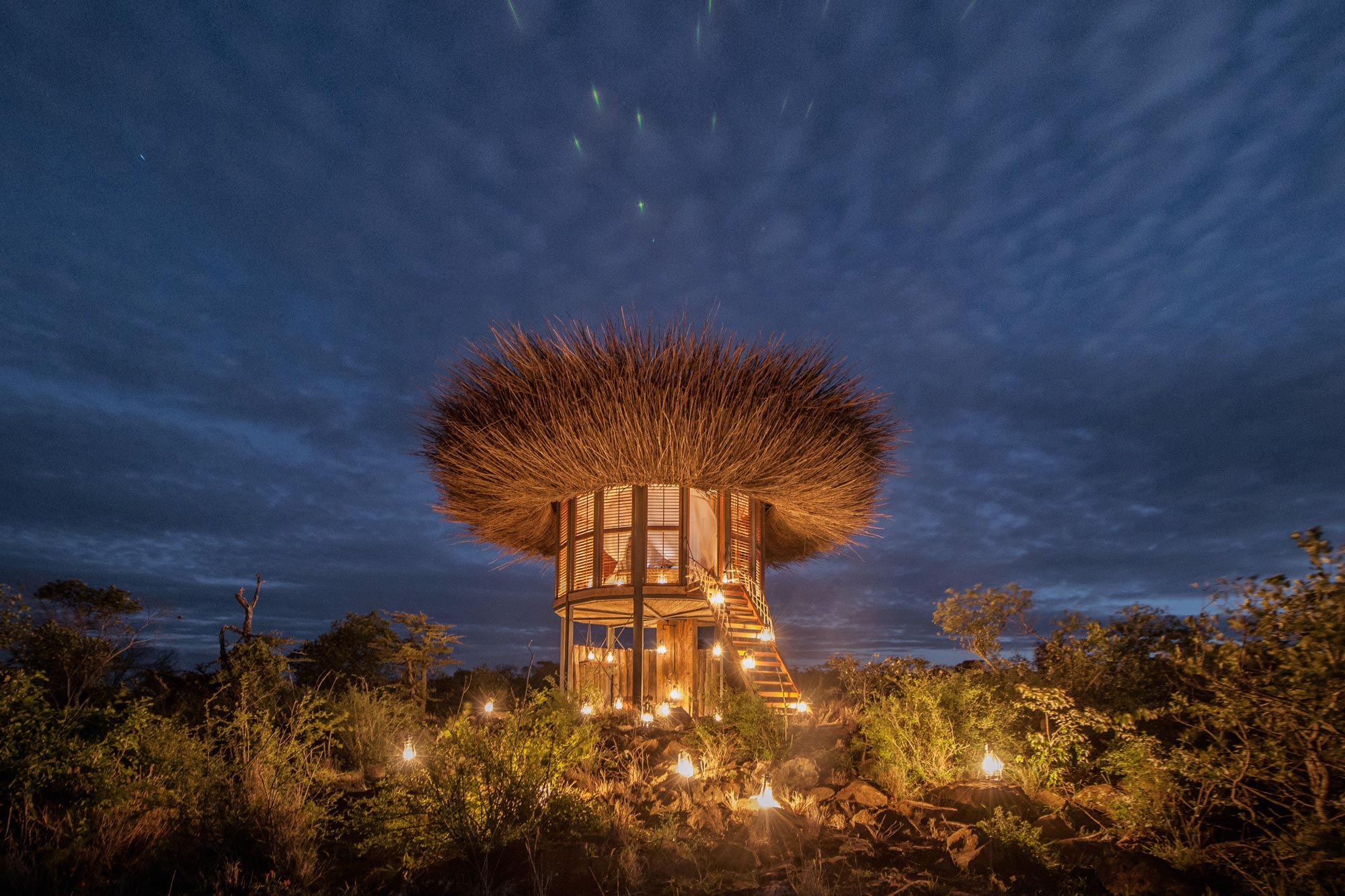 The Nay Palad Bird Nest