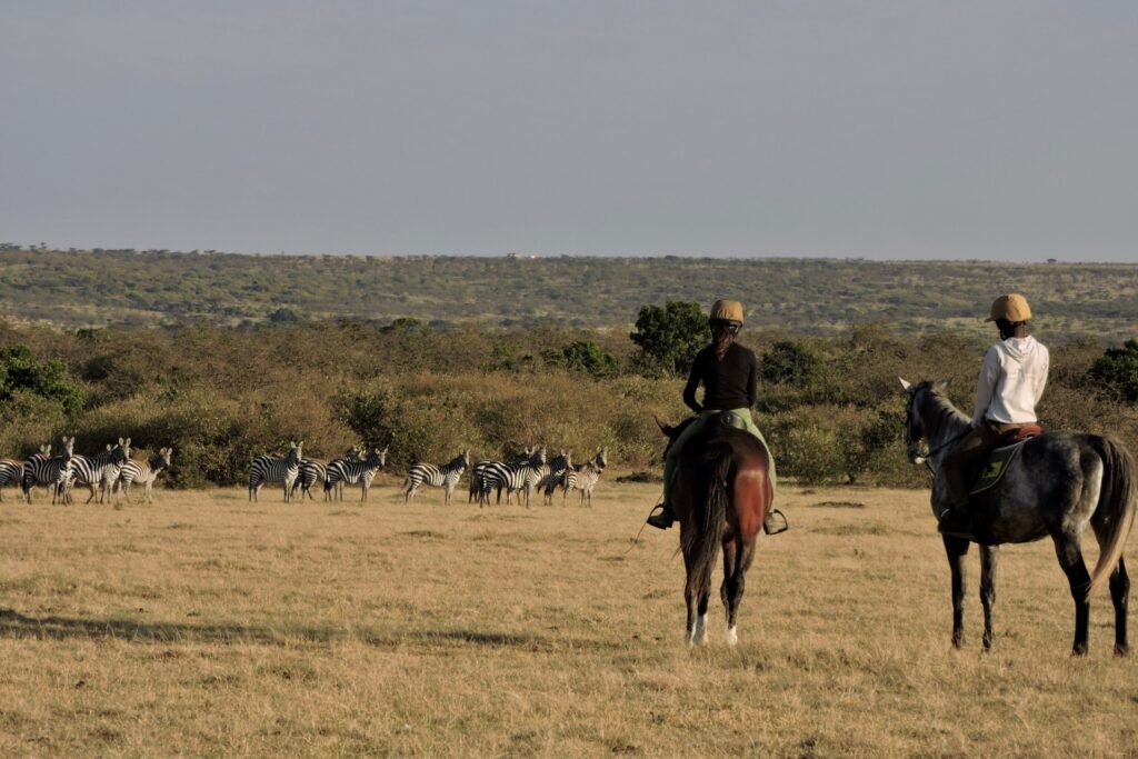 Horseback safari