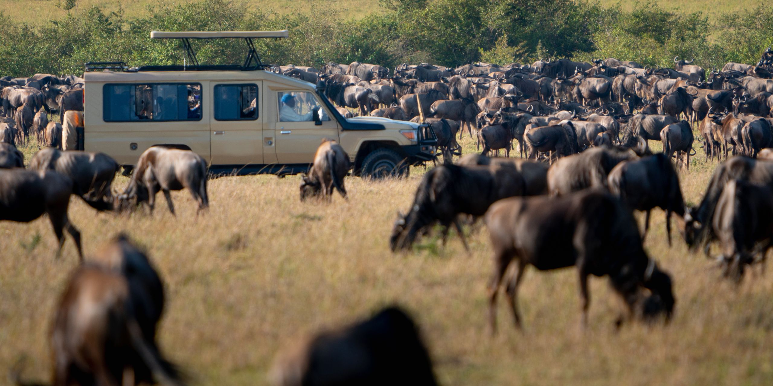 3-Day Masai Mara Wildebeest Migration Safari