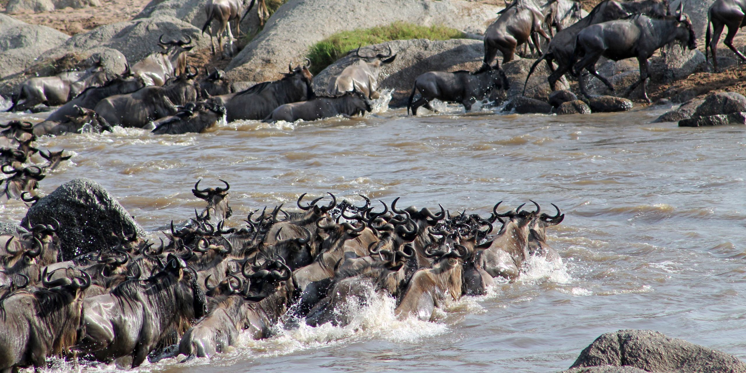 10-Days Masai Mara Wildebeest Migration Package