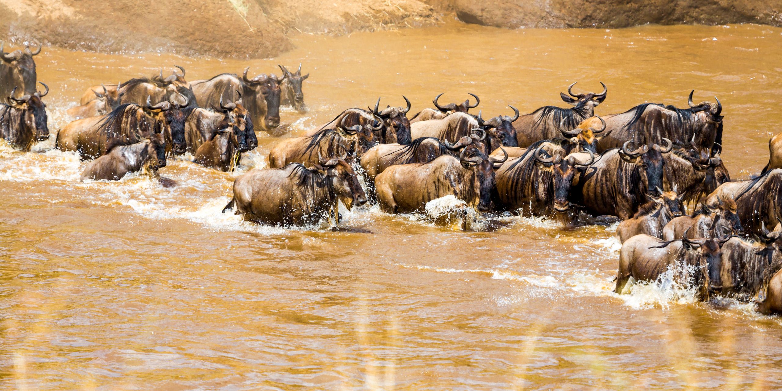 10-Days Masai Mara Wildebeest Migration Package