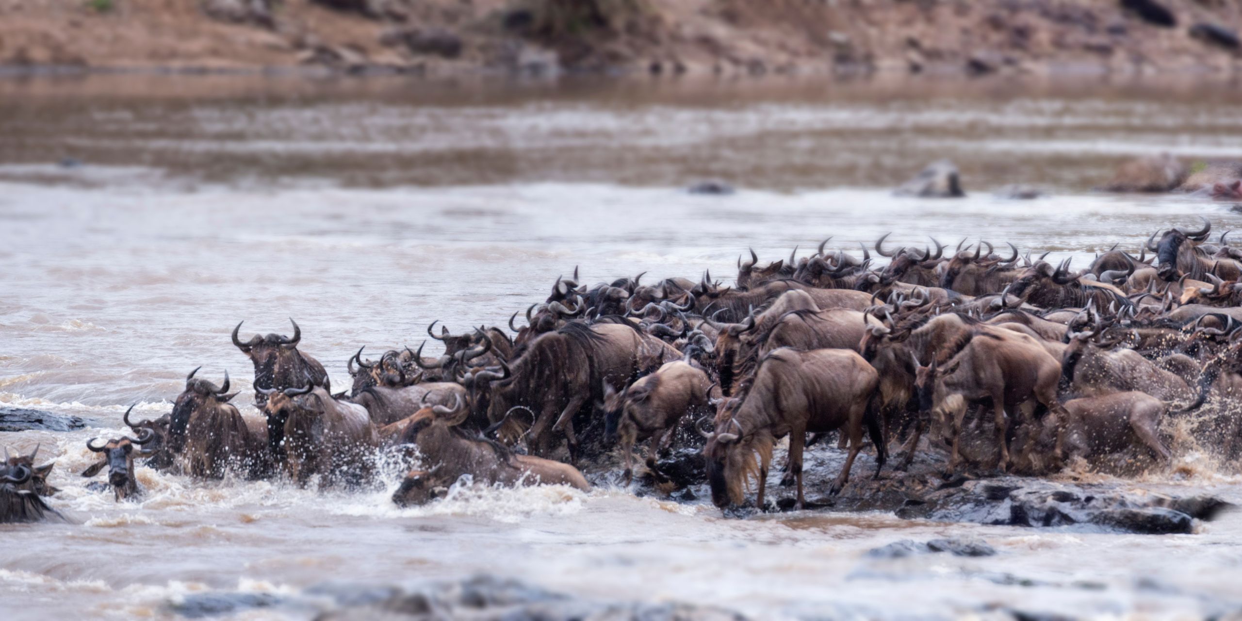 10-Days Masai Mara Wildebeest Migration Package