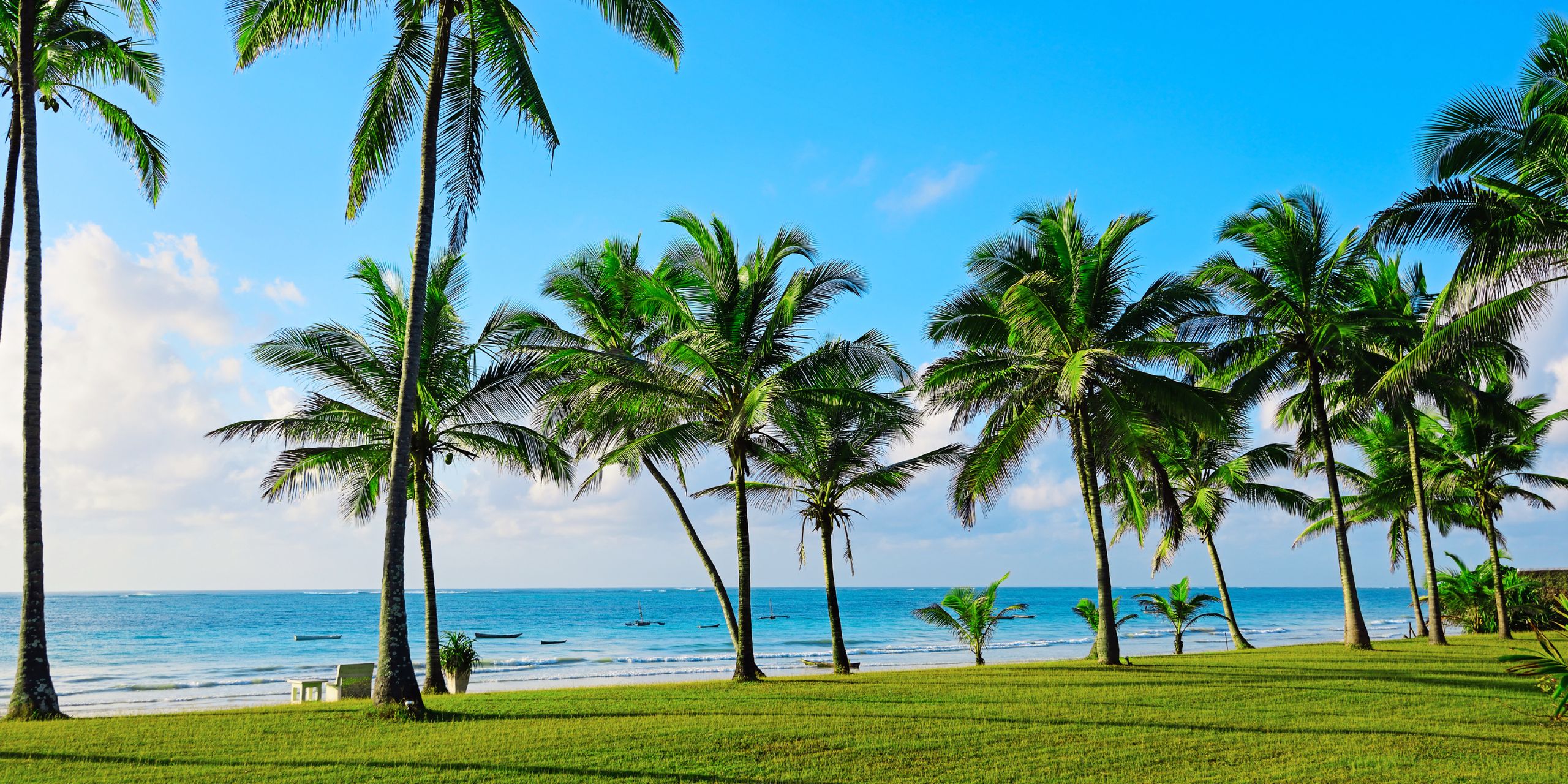 Wildebeest Migration & Diani Beach Safari