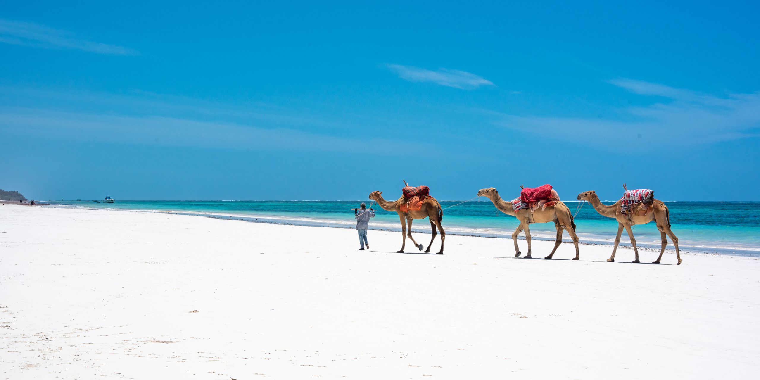 Wildebeest Migration & Diani Beach Safari