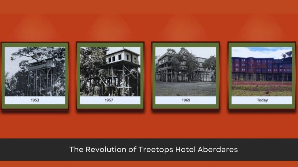 The Reopening of Iconic Treetops Hotel Aberdares