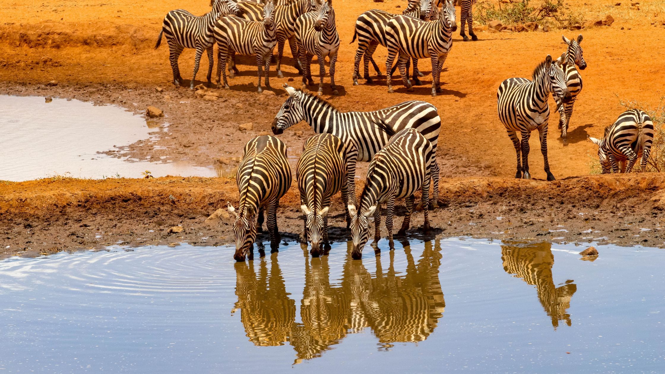 Group Joining Safari 4 nights - Aberdares, Nakuru & Masai Mara