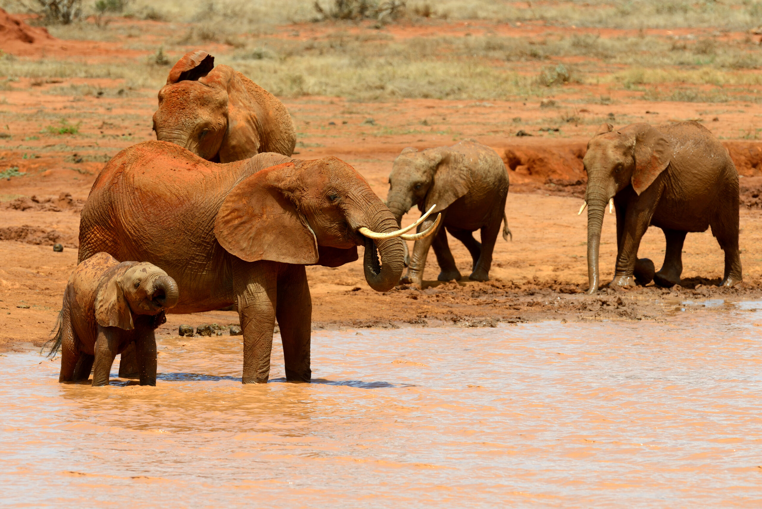 Group Joining Safari 4 nights - Aberdares, Nakuru & Masai Mara