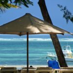 Top 10 Things to Do in Diani Beach: A Guide to Adventure, Nature, and Relaxation