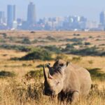 10 Fun Places to Visit in Nairobi on a Short Trip (Child Friendly) blog feature image