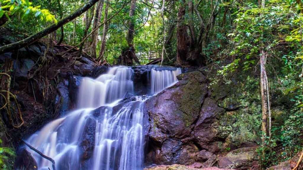 Karura Forest