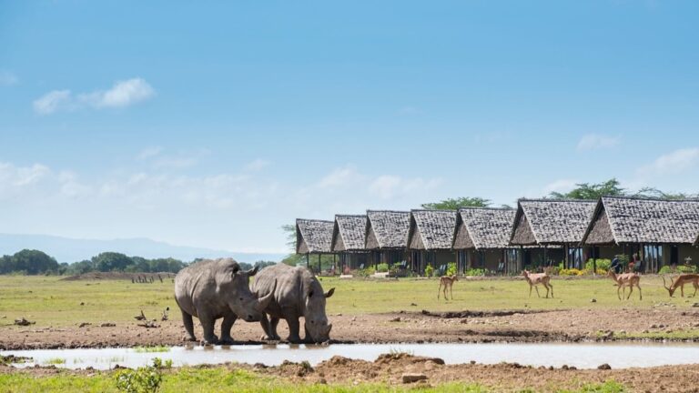 Top 5 Hidden Gems to Explore in Kenya